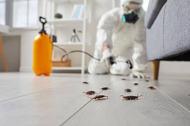 Commercial Kitchen Cockroach Control in Hermosa Beach
